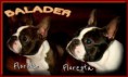 /album/fotogalerie/flo-a-flo-jpg/